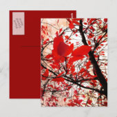 Rote Blätter - Postkarte (Vorne/Hinten)