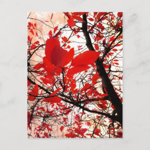 Rote Blätter - Postkarte