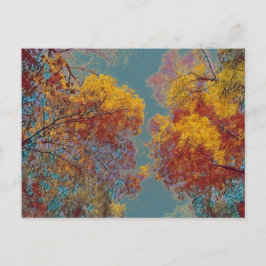 Rote Blätter Postkarte