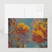 Rote Blätter Postkarte (Vorne/Hinten)