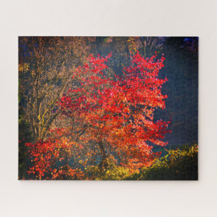 Rote Blätter Puzzle