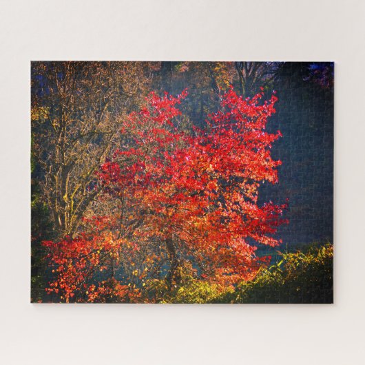 Rote Blätter Puzzle (Horizontal)