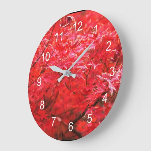 Rote Blätter rund um die Uhr (Winkel)