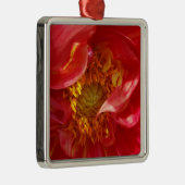 Rote Blätter Silbernes Ornament (Rechts)