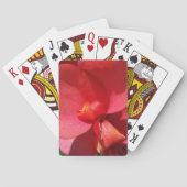 Rote Blätter Spielkarten (Rückseite)