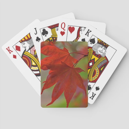 Rote Blätter Spielkarten (Rückseite)