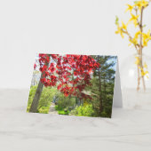 Rote Blätter und Walkway - Martha's Vineyard Karte (Gelbe Blume)