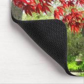 Rote Blätter und Walkway - Martha's Vineyard Mousepad (Ecke)