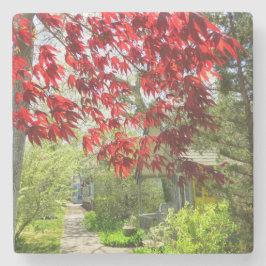 Rote Blätter und Walkway - Martha's Vineyard Steinuntersetzer