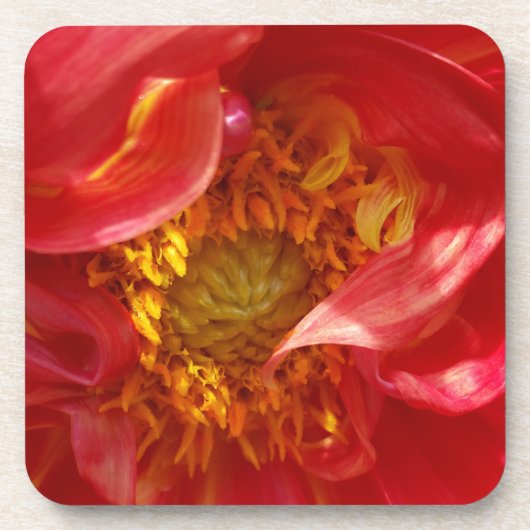 Rote Blätter Untersetzer (Vorderseite)