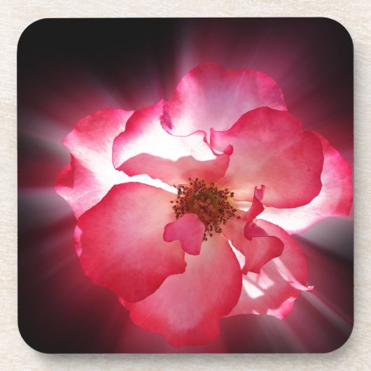 Rote Blätter Untersetzer (Vorderseite)