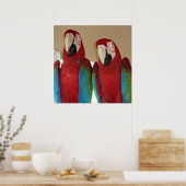 Rote, blaue, grüne Aras (Papageien) Poster (Küche)