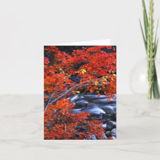 Rote/blaue Landschaft Karte
