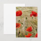 rote Blume (Vorne/Hinten)