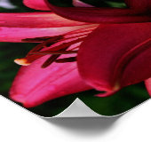 Rote Blume Abstrakte Kunst Poster (Ecke)