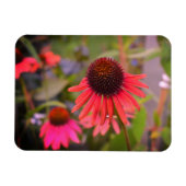Rote Blume bei RHS Wisley Magnet (Horizontal)