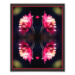 Rote Blume bei Sonnenlicht Abstrakt 8x10 Fotodruck