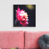 Rote Blume bei Sonnenlicht Nah Leinwanddruck (Insitu (Wohnzimmer))