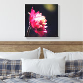 Rote Blume bei Sonnenlicht Nah Leinwanddruck (Insitu (Schlafzimmer))