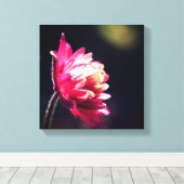 Rote Blume bei Sonnenlicht Nah Leinwanddruck (Insitu (Holzboden))