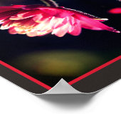 Rote Blume bei Sonnenlicht Naher Spiegel Abstrakt Poster (Ecke)