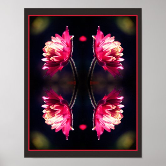 Rote Blume bei Sonnenlicht Naher Spiegel Abstrakt Poster (Vorne)
