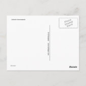 Rote Blume - Calliandra Postkarte (Rückseite)