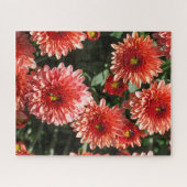 Rote Blume Chrysanthemum Puzzle (Horizontal)