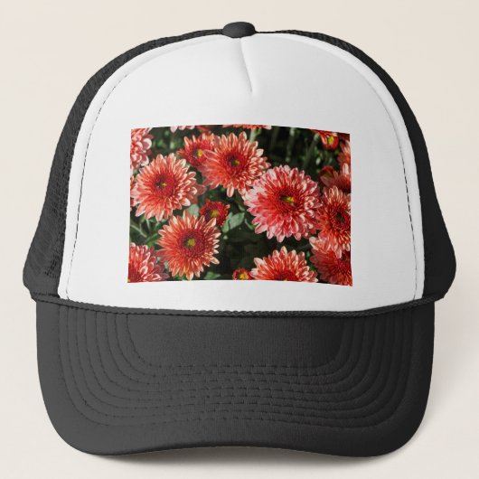Rote Blume Chrysanthemum Truckerkappe (Vorderseite)