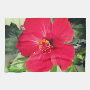 Rote Blume des Hibiskus Rosa-sinensis Geschirrtuch