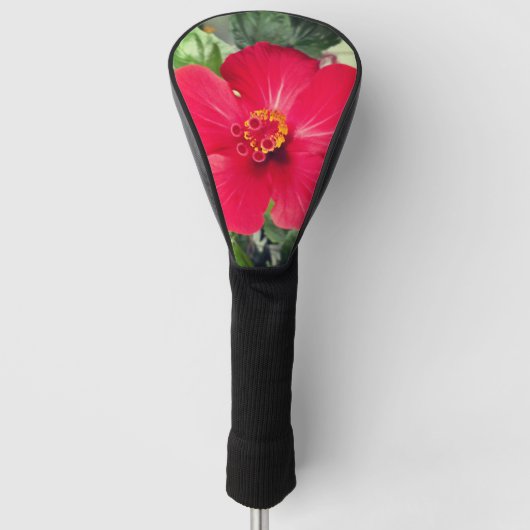 Rote Blume des Hibiskus Rosa-sinensis Golf Headcover (Vorderseite)