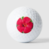 Rote Blume des Hibiskus Rosa-sinensis Golfball (Vorderseite)