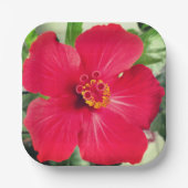 Rote Blume des Hibiskus Rosa-sinensis Pappteller (Vorderseite)