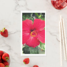 Rote Blume des Hibiskus Rosa-sinensis