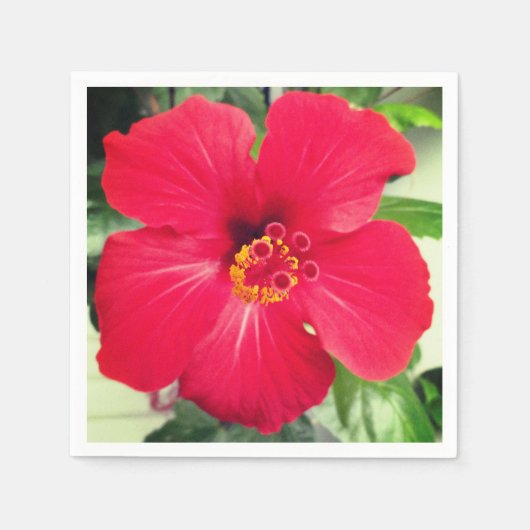 Rote Blume des Hibiskus Rosa-sinensis Serviette (Vorderseite)