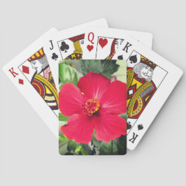 Rote Blume des Hibiskus Rosa-sinensis Spielkarten