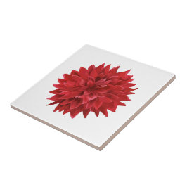 Rote Blume Fliese