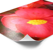 Rote Blume Fotodruck (Ecke)