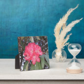 Rote Blume Fotoplatte (InSitu)