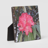 Rote Blume Fotoplatte (Vorderseite)