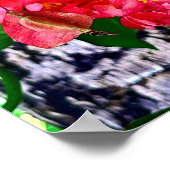 Rote Blume Garten Mexiko Poster (Ecke)