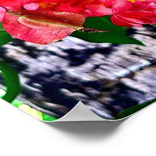 Rote Blume Garten Mexiko Poster (Ecke)