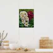 Rote Blume Gärtnerei Poster (Küche)