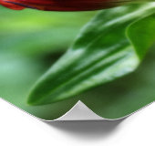 Rote Blume Gentian im Blog Orton Art Poster (Ecke)