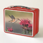 Rote Blume Hummingbird Metall Brotdose (Rückseite)