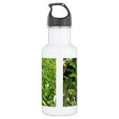 Rote Blume Hummingvogel Edelstahlflasche (Rückseite)