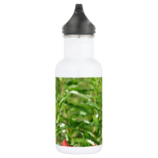 Rote Blume Hummingvogel Edelstahlflasche (Rechts)