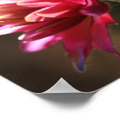 Rote Blume im Sonnenlicht Abstrakt Poster (Ecke)