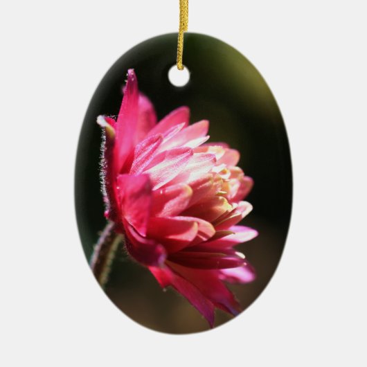 Rote Blume in der Sonnenlicht-Verzierung Keramik Ornament (Vorne)