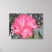 Rote Blume Leinwanddruck (Vorderseite)